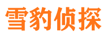 东明找人公司